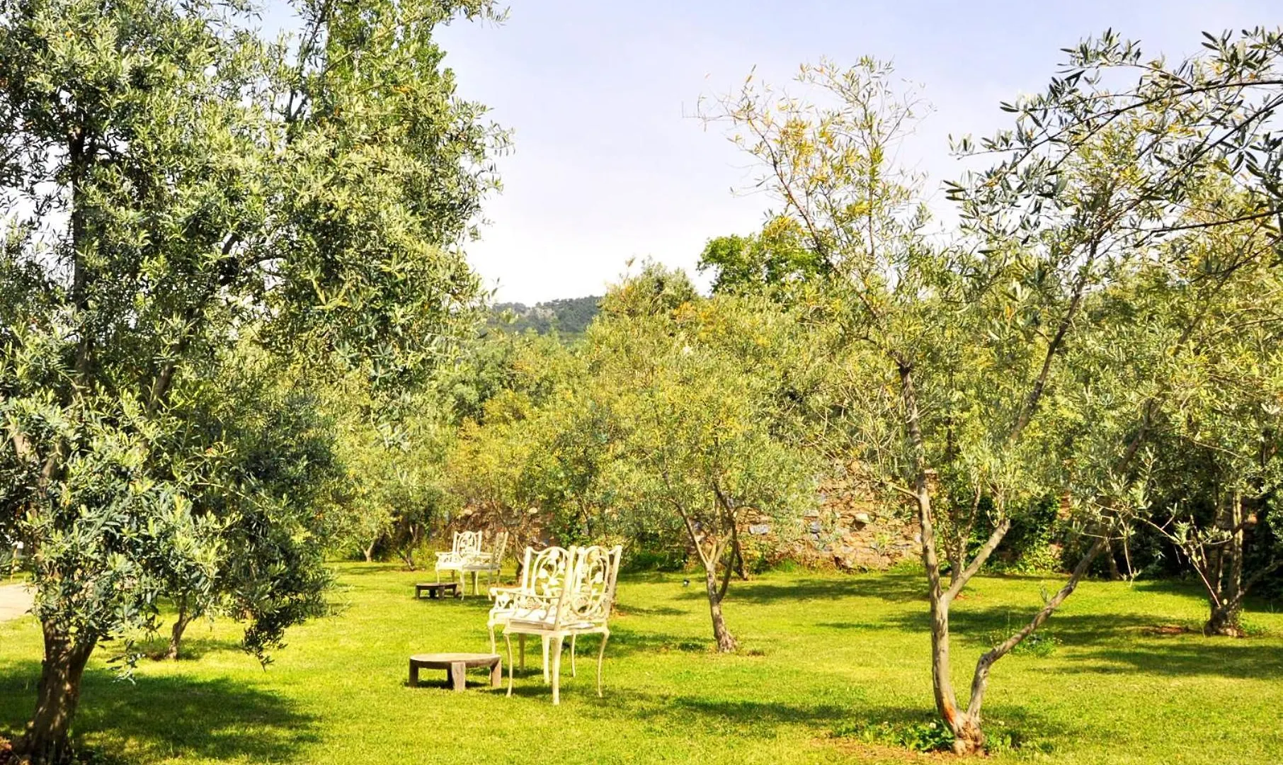 Inn Gullu Konaklari Selcuk